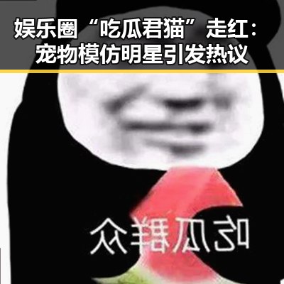 娱乐圈“吃瓜君猫”走红：宠物模仿明星引发热议